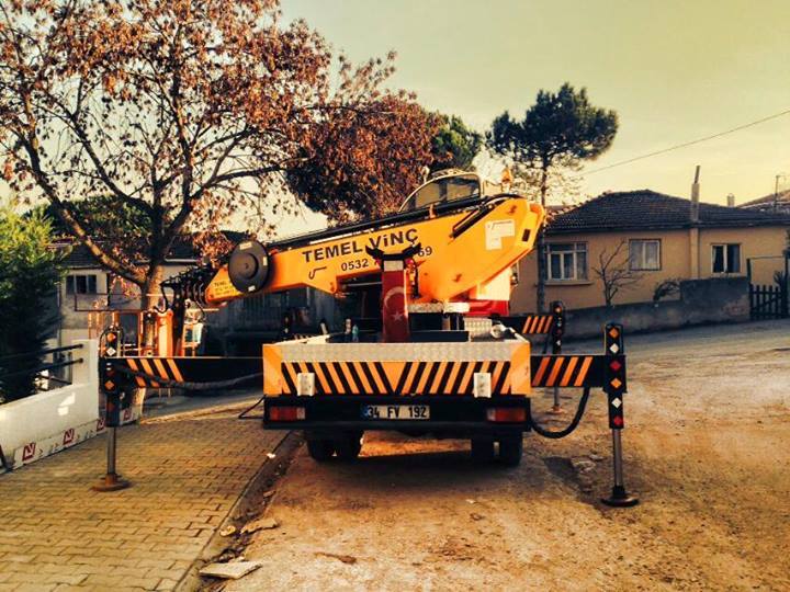 Ağaç budama